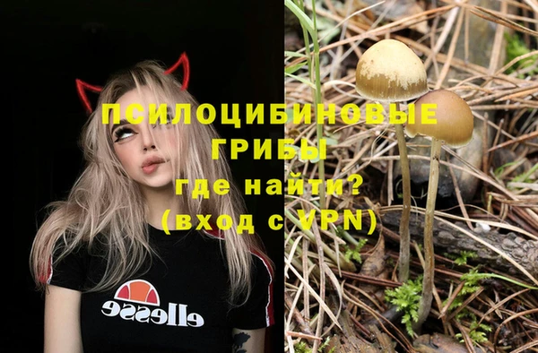 бошки Волоколамск